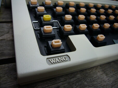 WANG logo